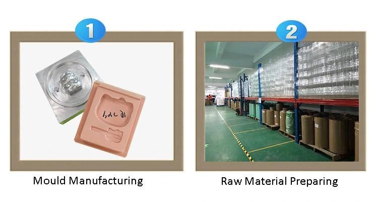 Custom Plastic Folding Acetate Printing Logo Pet PVC Box