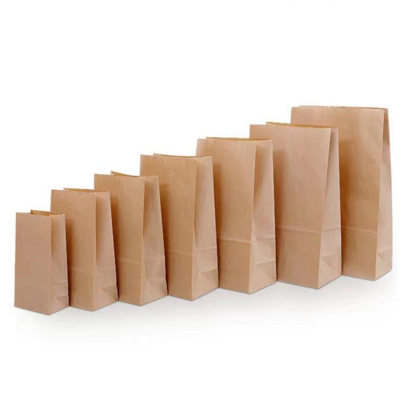 Food Packaging Bag Square Paper Bag for Fried Chicken Block/Compost Bag