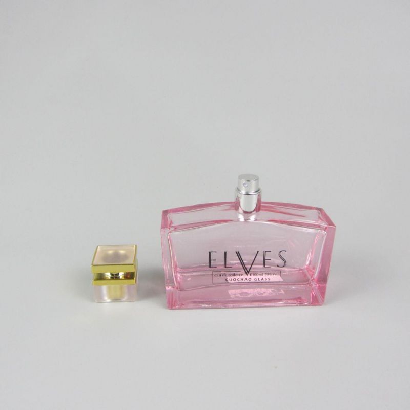 Free Sample Luxury Woman 100ml Spray Glass Perfume Bottle