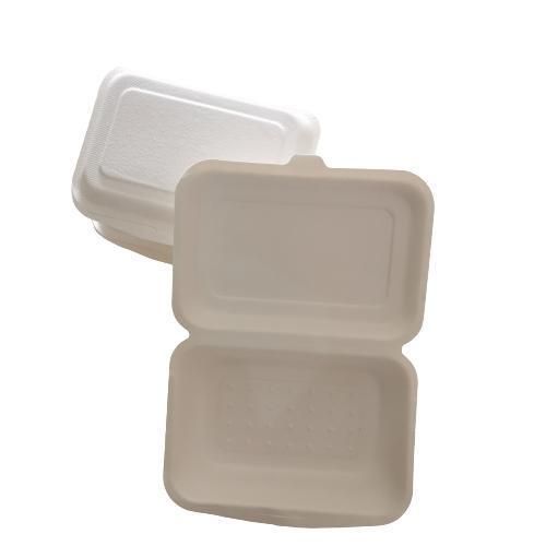 Biodegradable Sugarcane Bagasse Food Packaging 6 Inch X 4 Inch