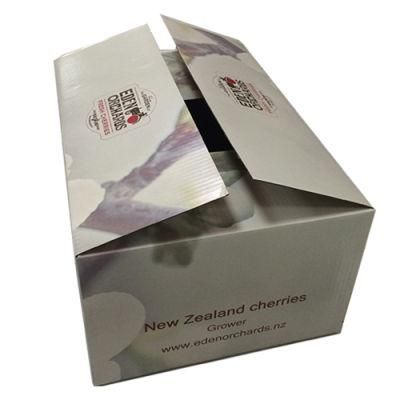 Custom Strong Quality Cherry Fruit Packaging Box