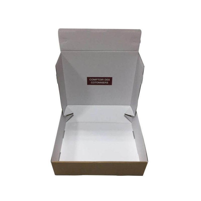 Custom Carton Packaging Box for Shipping