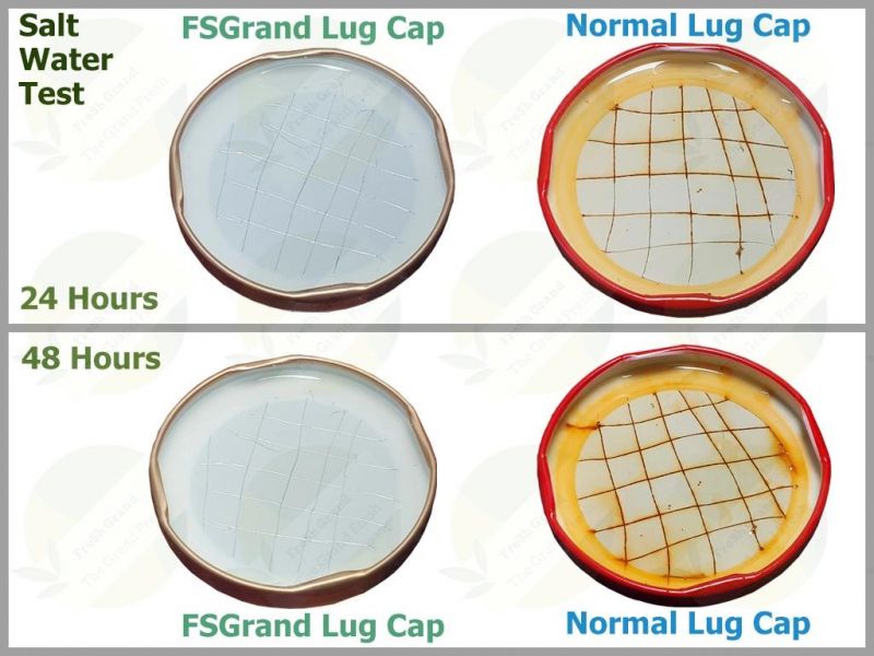 Bird Nest Jar & Lids (Anti-corrosion) Glass Jar