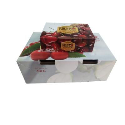 Strong Rsc Cherry Packaging Cardboard Food Box