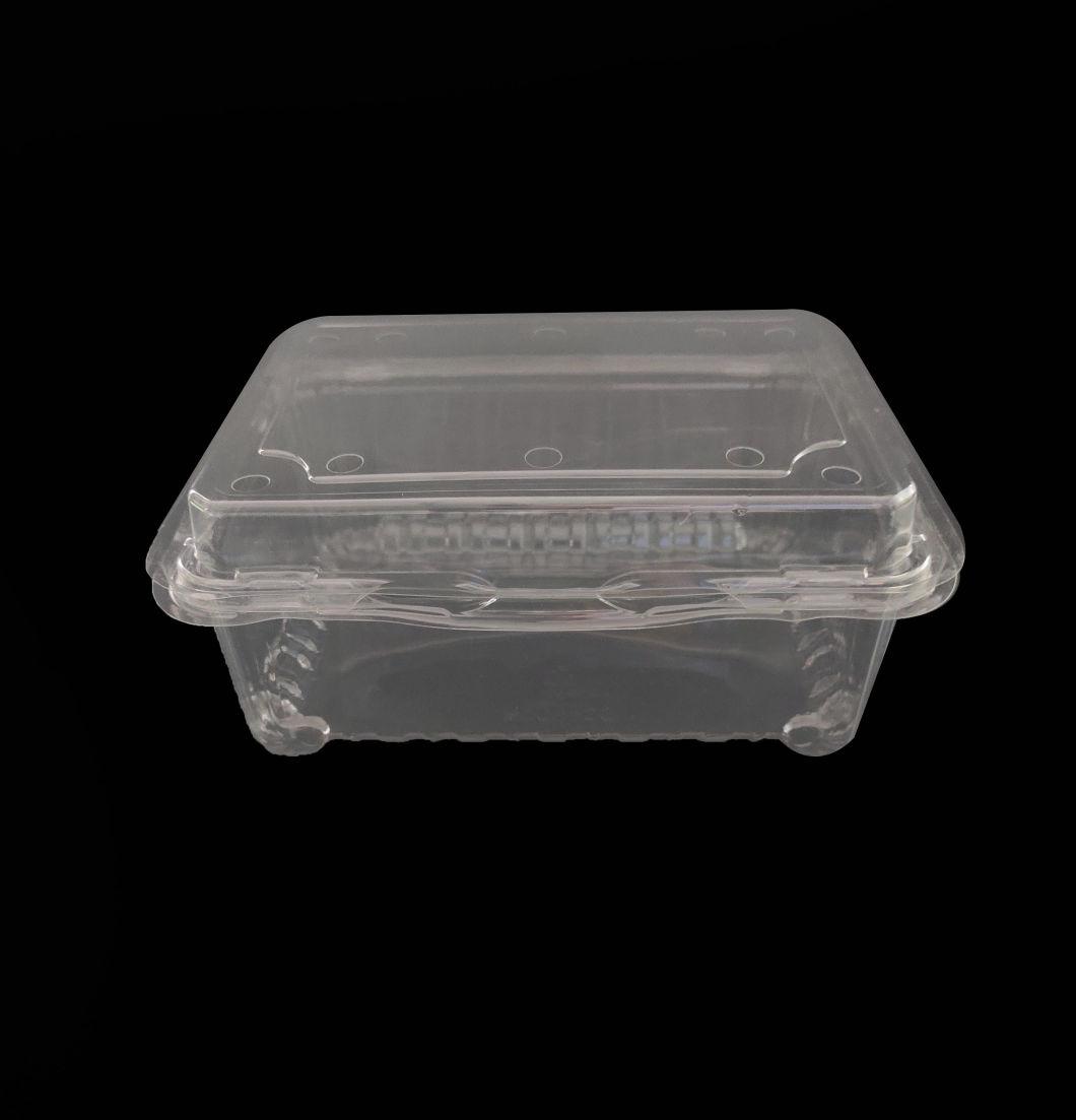 Plastic Fresh Fruit Clamshell Packaging Tray Food Container