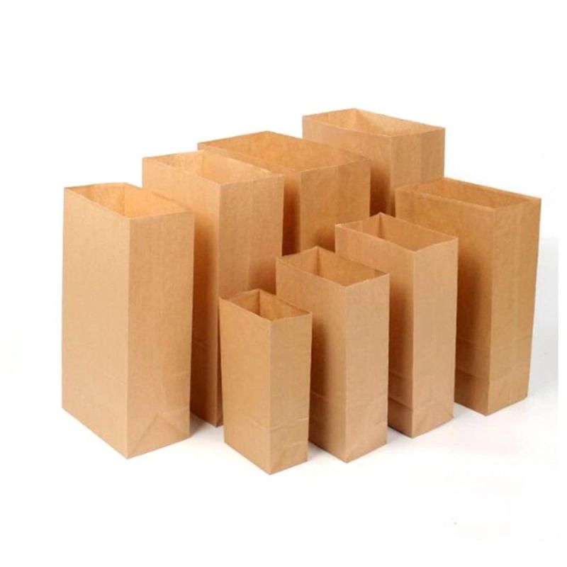 Excellent Quality Hamburger Paper Bag for Sale