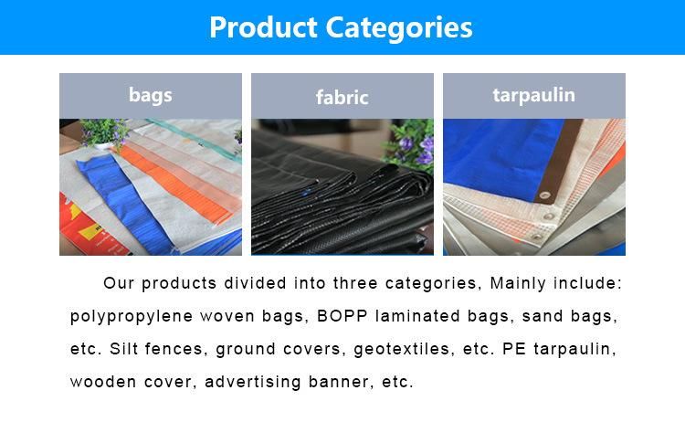 China PP Bag for Grain