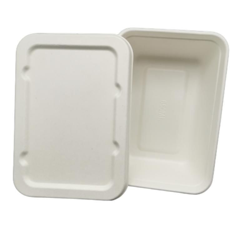 650ml Food Packaging Box Biodegradable Lunch Supplier Container Plastic Tray