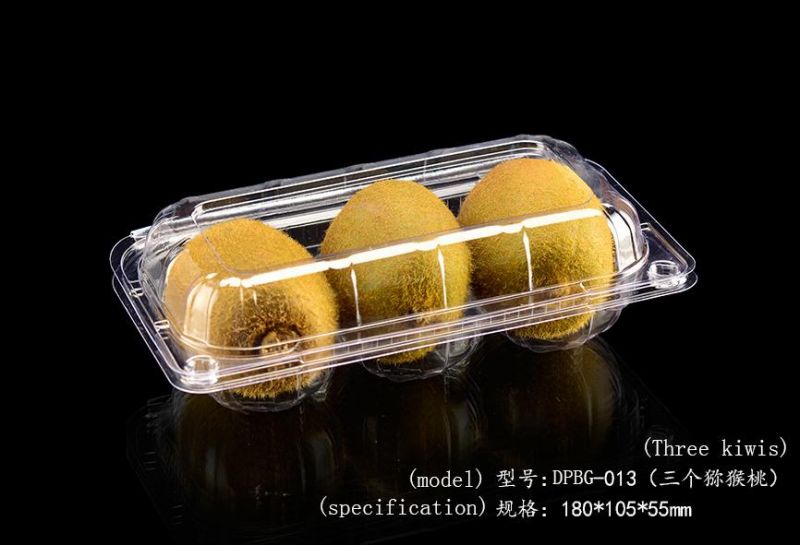 Supermarket Biodegradable Serving Tray Fruits Vegetable Storage with Dividers Cover Package Trays