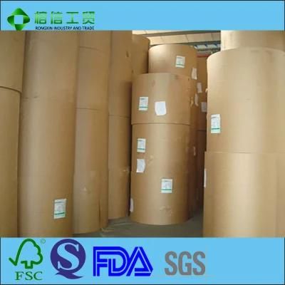 PE Coated Paper for The Medical Consumable Bags