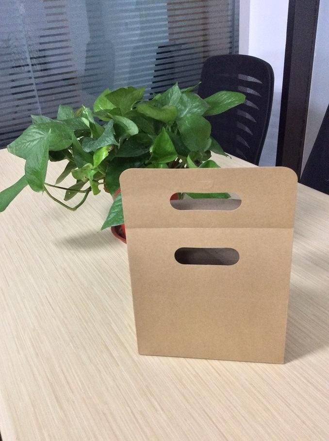 100% Biodegradable Cardboard Paper with Custom Logo Printed Paper Bag