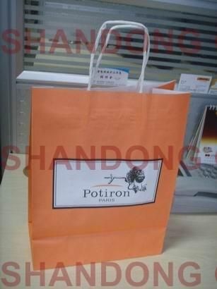 100% Eco-Friendly Art Paper/Cardboard with Custom Logo Printed Packaging Bag