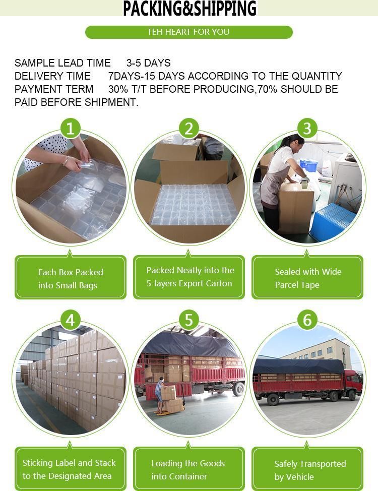 Chinese Clear Polystyrene Boxes Plastic Packaging Nut Container Box for Double Eyelid Stickers