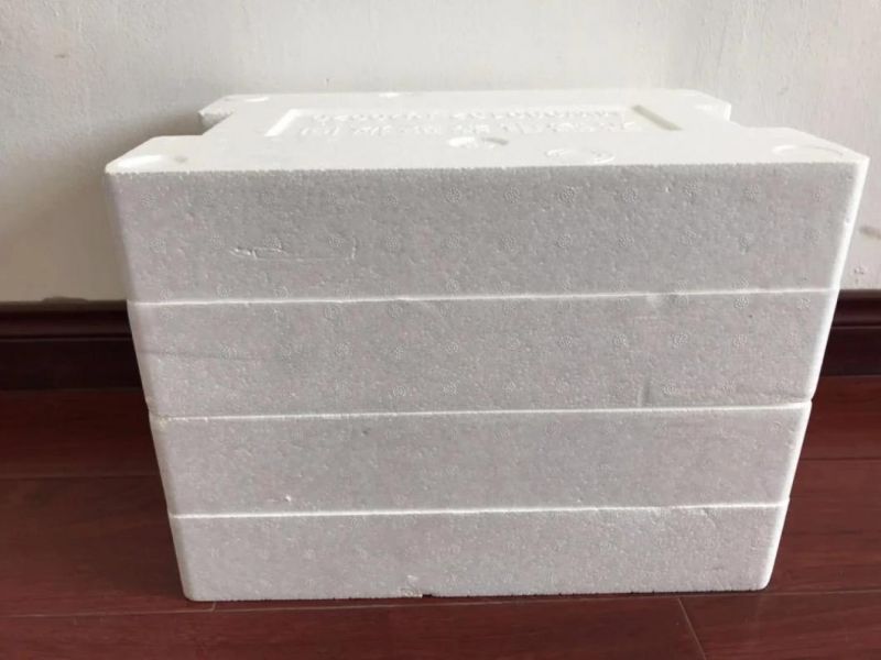 2021 China Foam EPS Foam EPP Foam Box Production