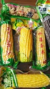 Manufacturers of Vacuum-Packing Bags of Maize