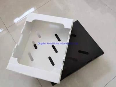 OEM &amp; ODM White Shockproof Plastic Sheet Corrugated PP Packing Box