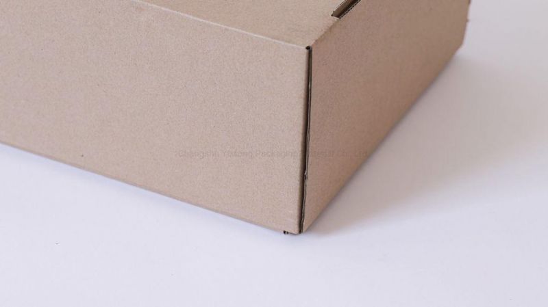 Custom Printed Logo Printing Packing Products Corrugated Box Packing Carton