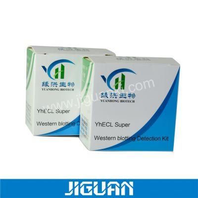 Professional Custom Printing 2ml HGH Boxes with Plastic Tray