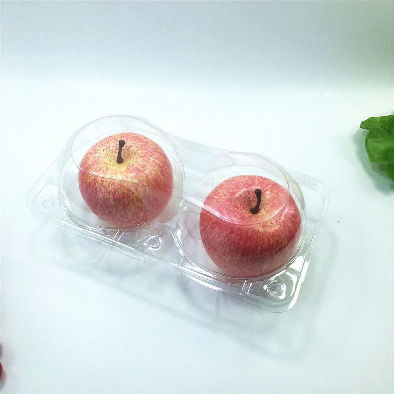 Plastic Food Fruit Packaging with Lid