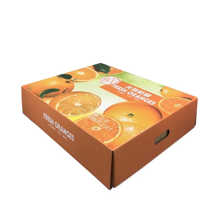 Hot Sale Folding Fruit Packaging Box