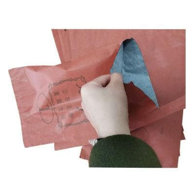 China Manufacturer Fruit Pomegranate Protection Bag/ Grape Paper Protection Bag/Mango Fruit Protection Bag