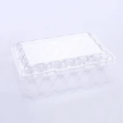 Plastic Clear Egg Cartons Packaging Box