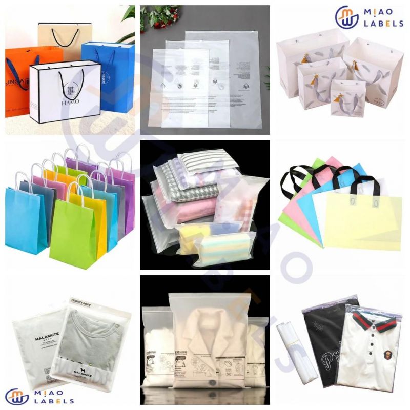 Custom Colorful Pantone Color Paper Bags for Clothing/Shopping/Packaging