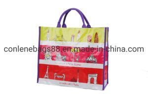 OEM High Quality Special Design Wholesale Laminated Woven Bags in Medium Size