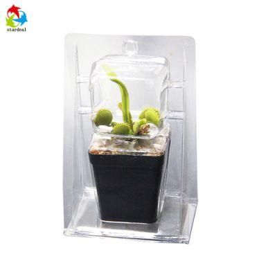 Customized PVC Pet Plastic Clamshell Blister Packaging for Plants