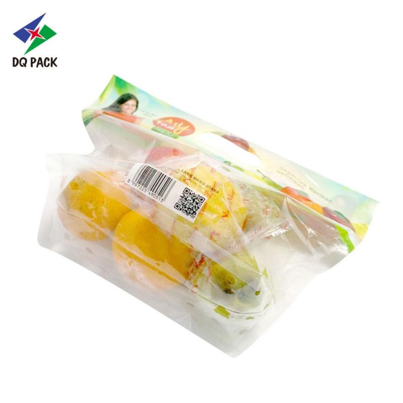 Customized Hot Sale Stand up Fruit Vent Bag with Zipper and Euro Hole