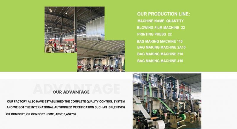 China Factory Corn Starch Eco Friendly PLA Recycle Reusable Biodegradable Packaging Plastic Shopping Bags with Certified