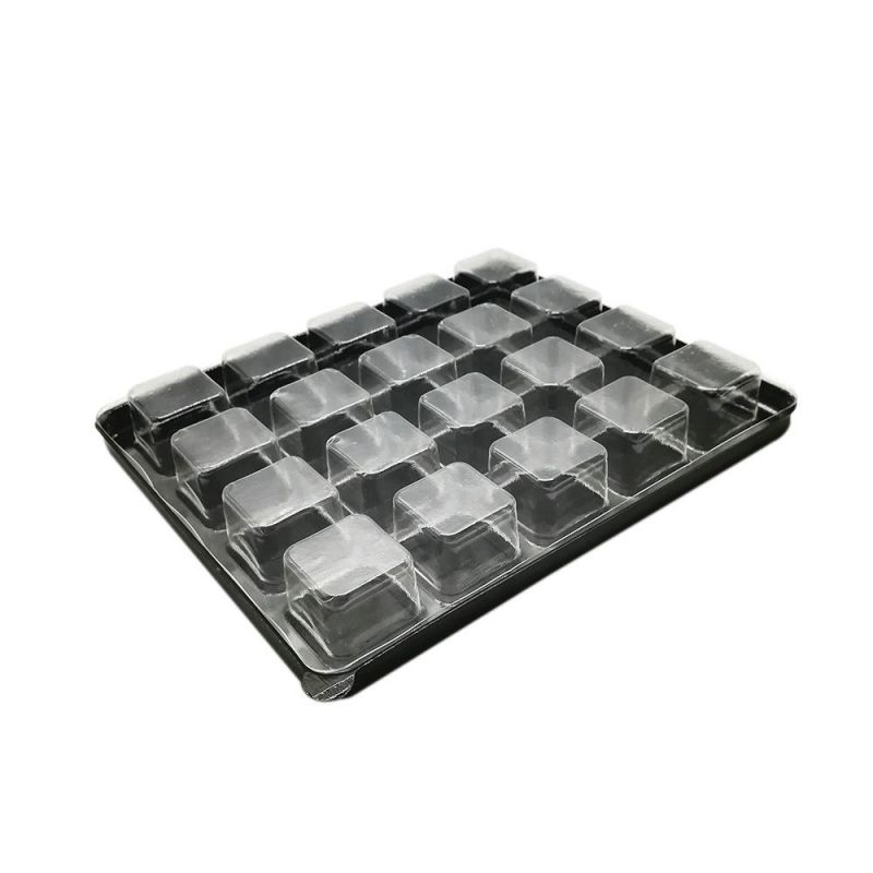 20 Cavity Food Safe Blister Clear Pet Tray with Lid