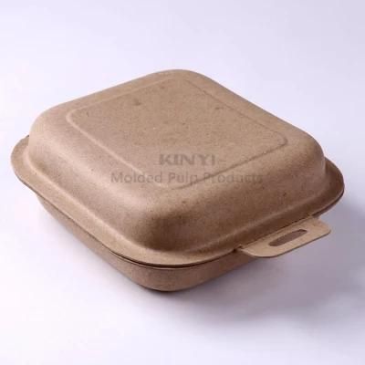 Custom Design Recyclable Molded Pulp Packaging Box with Insert Tray