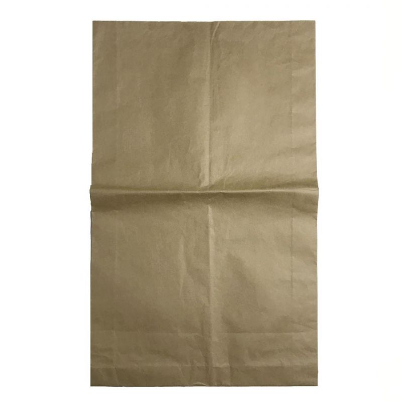 Custom Personal Printing Powder Packaging Paper Bag with PE Liner