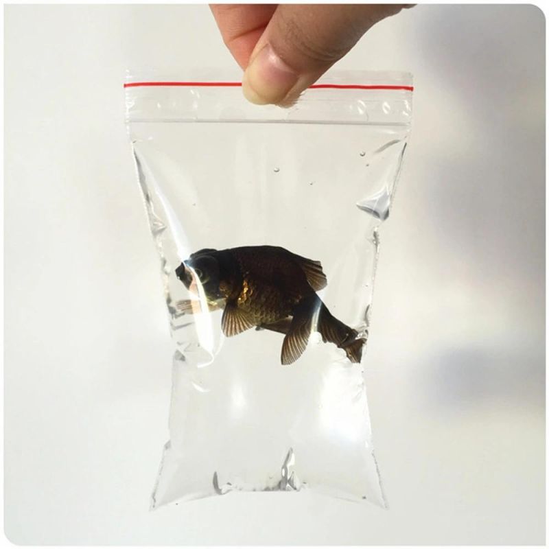 Factory Wholesale Transparent Zipper Plastic Packaging Bag