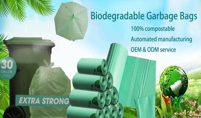 High Quality PLA Pbat Compostable Food Packaging Zip Lock Bag