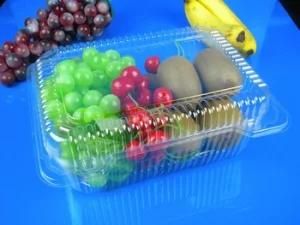 High Quality All Kinds of Plastic Fruits Big Packaging Container