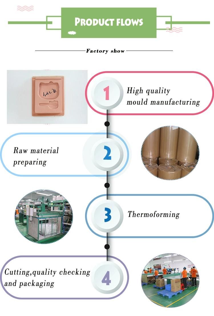 Dumpling Vacuum Forming Plastic Tray with Lid