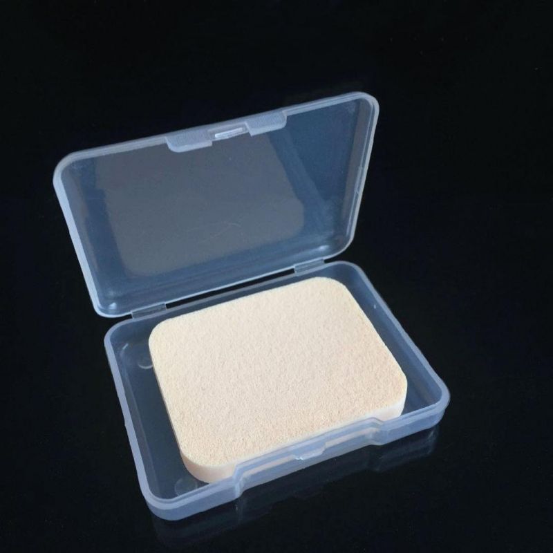 Chinese Clear Polystyrene Boxes Plastic Packaging Nut Container Box for Double Eyelid Stickers