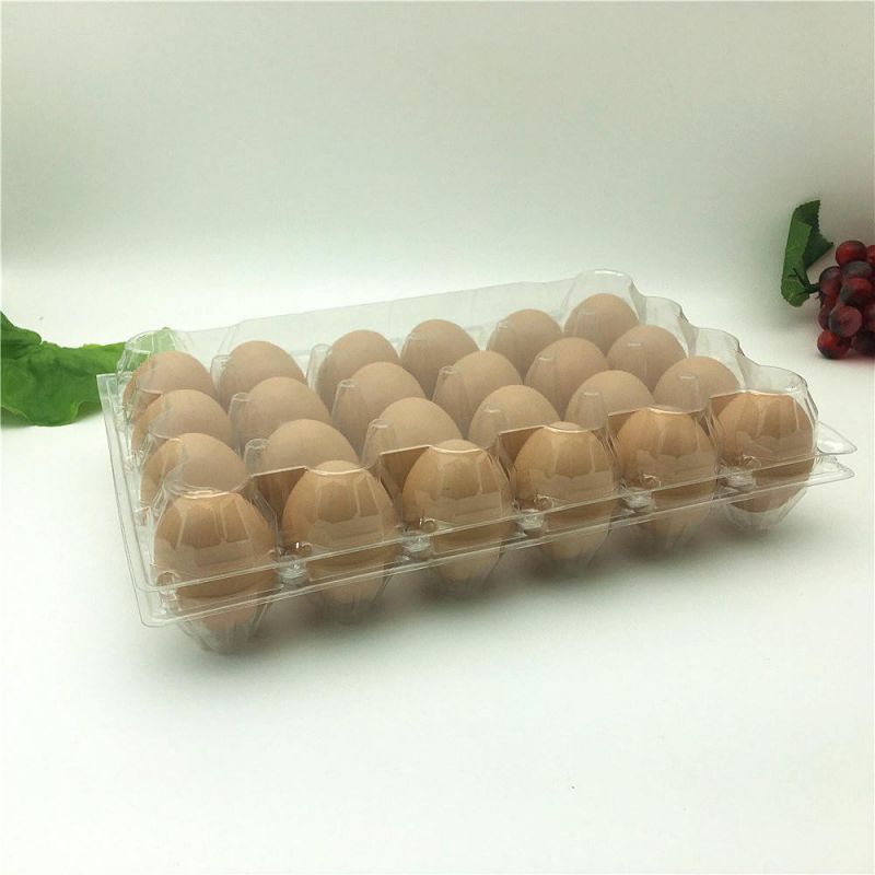 Pet Disposable Plastic 12holes Egg Tray Container