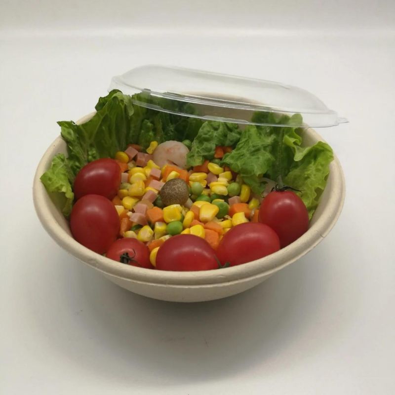 Disposable Compostable Natural Restaurant Bagasse Bowl