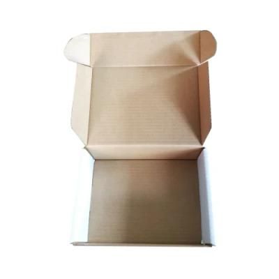 Classic Full Over Lap Box Corrugated Packaging Box with Fancy Printing and Pictures Inside