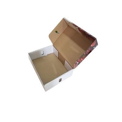 Custom Vegetable Fruit Tomato Packing Corrugated Carton Box