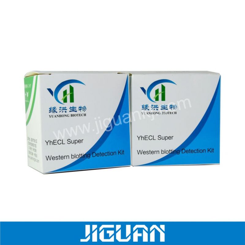 High Quality Custom Paper Boxes 2ml Vial Bottle Box with Logo Brand Artwork Printing