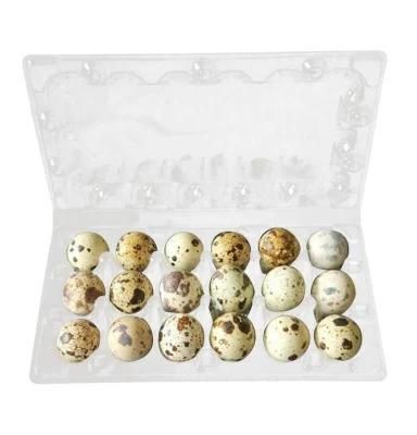 Cheap 12 Cells Clear Plastic Quail Egg Tray