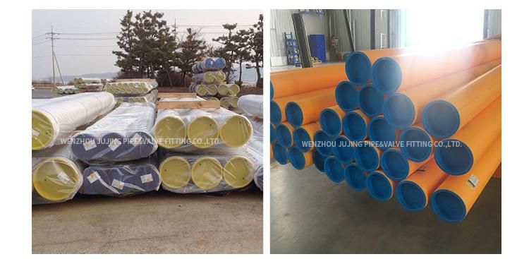 Gas Pipe Plastic Pipe End Plug Pipe Fitting Plastic Plug