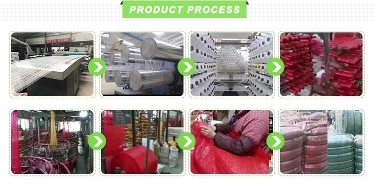 China Factory PP Leno Mesh Bags Manufacturer Vegetable Onion Potato Fruit Packaging Date Leno PE Net PP Mesh Bag