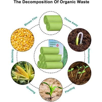 Environmental Protection Biodegradable Mailer for Transportation