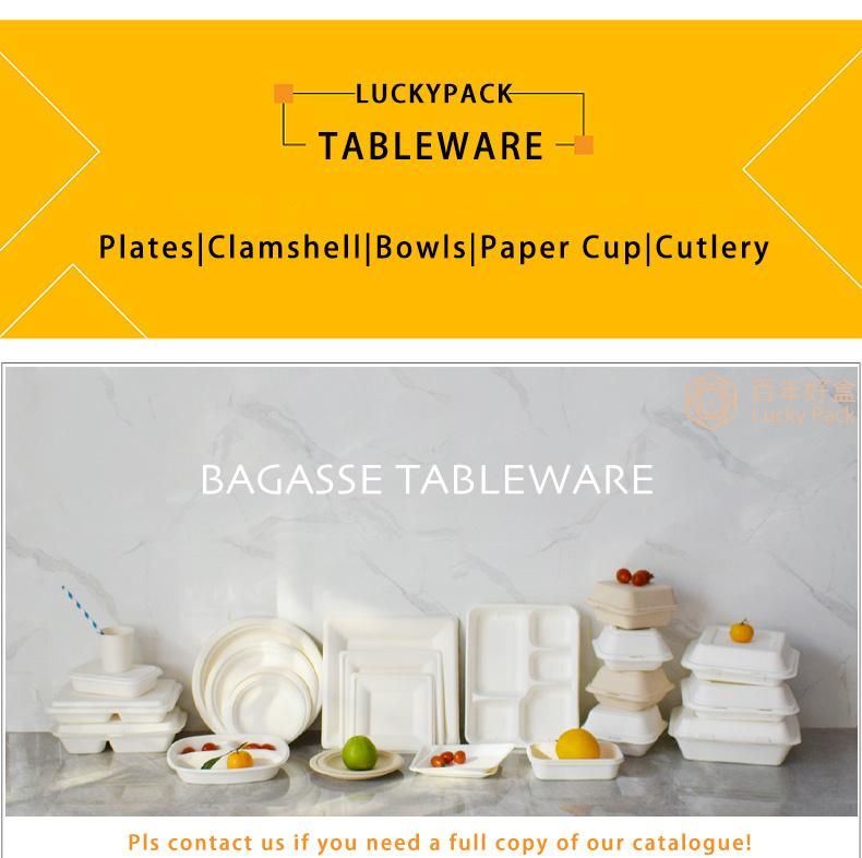 6" Biodegradable Sugarcane Bagasse Paper Box Burger Cake Boxes