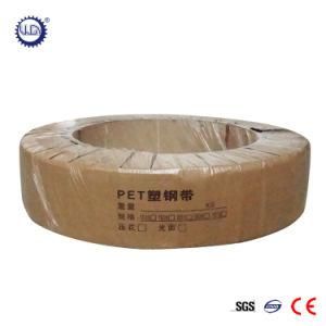 Cheap Price Hot Sale Polyester Pet Strap Supplier